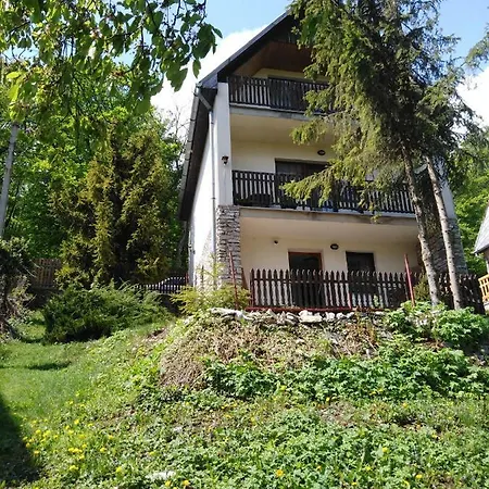 Tatil Evi Gyogyito Vendeghaz Bukkszentkereszt